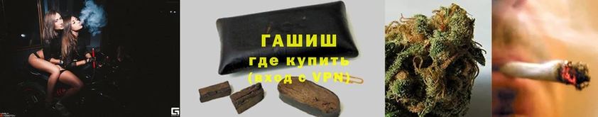 ГАШ VHQ  Грязовец 